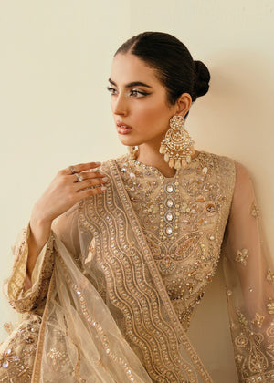Amazona - NEW NAMAL PRET
