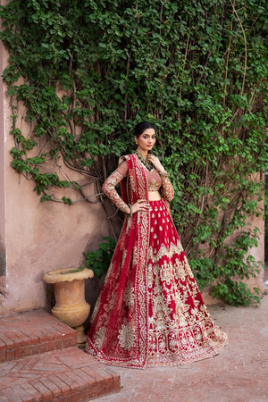 ANARKALI - NEW NAMAL PRET