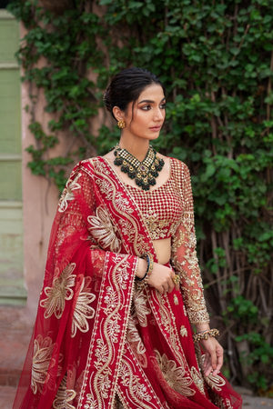 ANARKALI - NEW NAMAL PRET