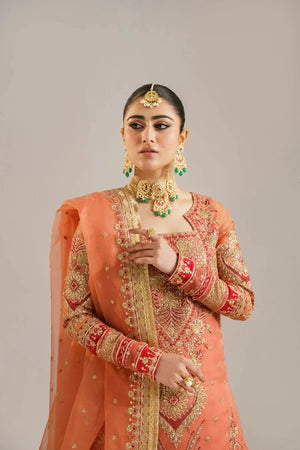 Begum Bano - NEW NAMAL PRET