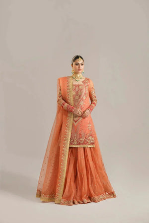 Begum Bano - NEW NAMAL PRET