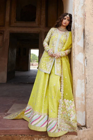 Dania SH - 05 - NEW NAMAL PRET