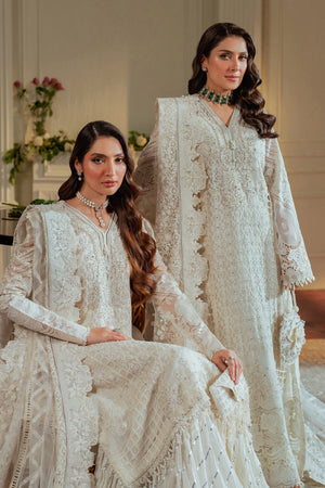EMBROIDERED CHIFFON CH13 - 02 - NEW NAMAL PRET