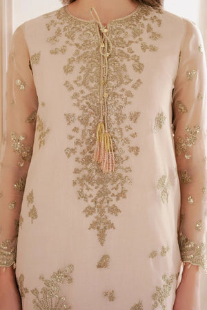 EMBROIDERED CHIFFON UC - 3067 - NEW NAMAL PRET