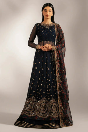 EMBROIDERED CHIFFON UC - 3073 - NEW NAMAL PRET