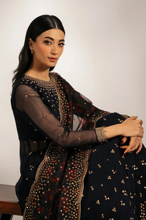 EMBROIDERED CHIFFON UC - 3073 - NEW NAMAL PRET
