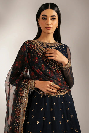 EMBROIDERED CHIFFON UC - 3073 - NEW NAMAL PRET