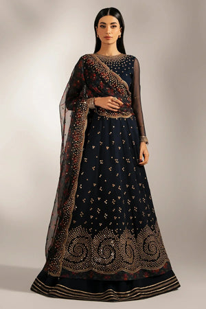 EMBROIDERED CHIFFON UC - 3073 - NEW NAMAL PRET