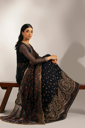 EMBROIDERED CHIFFON UC - 3073 - NEW NAMAL PRET