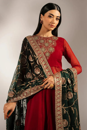 EMBROIDERED CHIFFON UC - 3074 - NEW NAMAL PRET