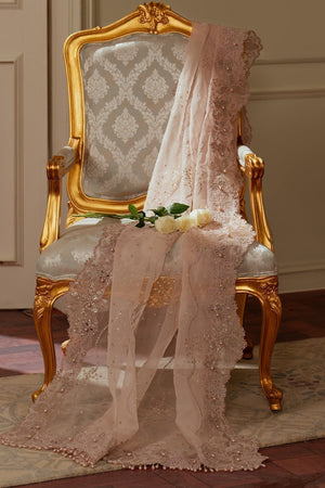 EMBROIDERED ORGANZA CH13 - 04 - NEW NAMAL PRET
