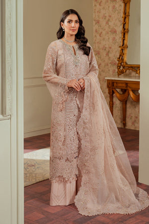 EMBROIDERED ORGANZA CH13 - 04 - NEW NAMAL PRET