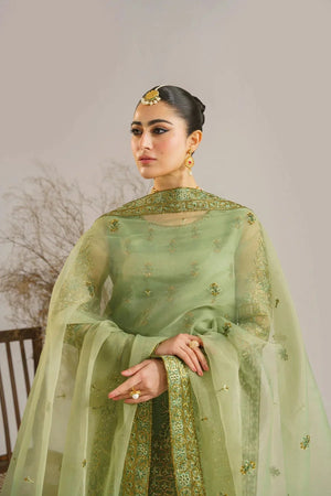 Fareena - NEW NAMAL PRET