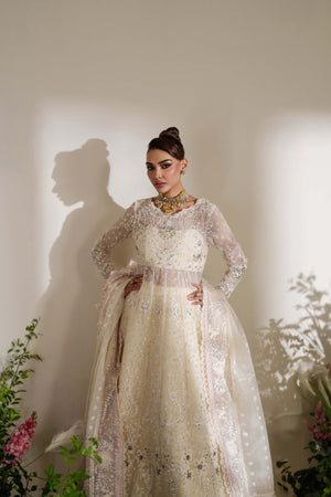 RAINA (FESTIVE FORMAL) - NEW NAMAL PRET