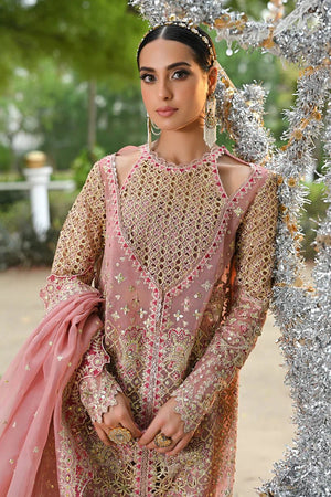 RF - 02 SALEHA - NEW NAMAL PRET