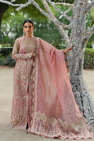 RF - 02 SALEHA - NEW NAMAL PRET