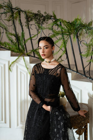 Roohi - NEW NAMAL PRET