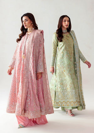 Unstitched '25 Vol. 1 - Look 04 - Namal Pret