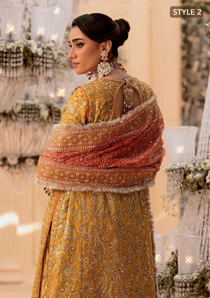 WEDDING FESTIVE ’25 VOL. 1 - LOOK 08 - NEW NAMAL PRET