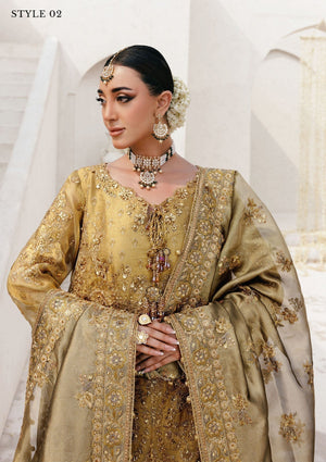 WEDDING FESTIVE ’25 VOL. 2 - LOOK 10 - Namal Pret