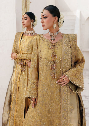 WEDDING FESTIVE ’25 VOL. 2 - LOOK 10 - Namal Pret