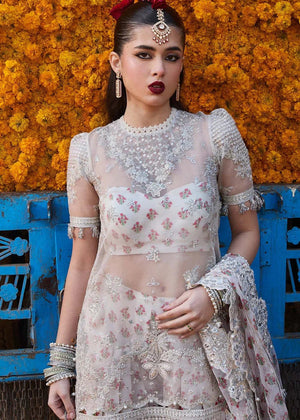 Zareen - NEW NAMAL PRET