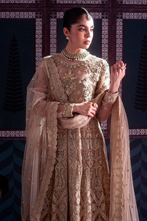 ZARIFA - NEW NAMAL PRET