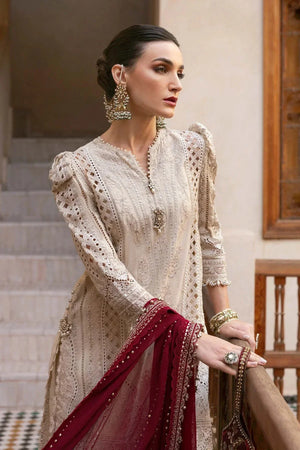 3 Piece stitched Embroidered Lawn Suit | D - 2511 - B - NEW NAMAL PRET