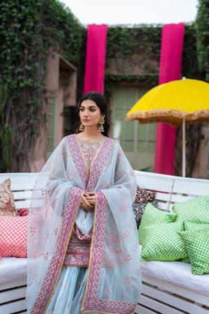 ANMOL - NEW NAMAL PRET