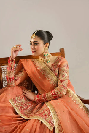 Begum Bano - NEW NAMAL PRET