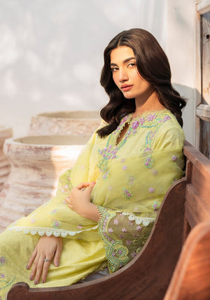BL 001 Ziana - NEW NAMAL PRET