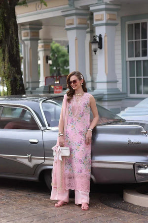 D11 - Blush Pink - NEW NAMAL PRET