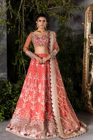 Ember Rose - NEW NAMAL PRET