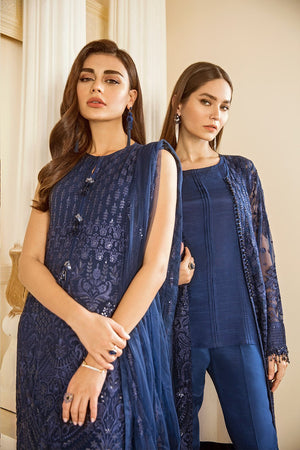 EMBROIDERED CHIFFON CH06 - 02 - NEW NAMAL PRET
