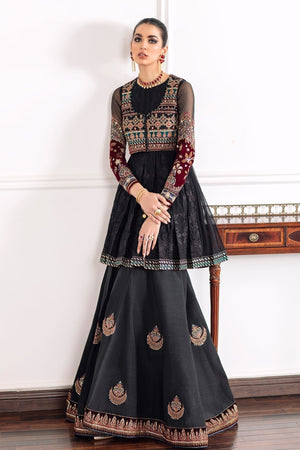 EMBROIDERED CHIFFON CH09 - 04 - NEW NAMAL PRET