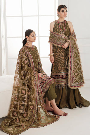 EMBROIDERED CHIFFON CH10 - 06 - NEW NAMAL PRET