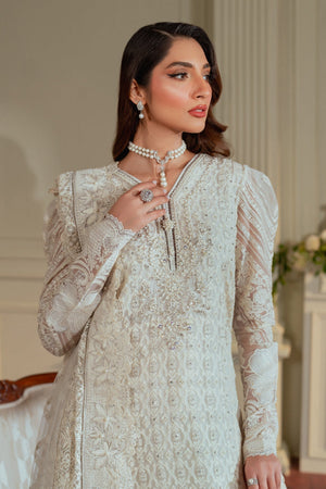 EMBROIDERED CHIFFON CH13 - 02 - NEW NAMAL PRET