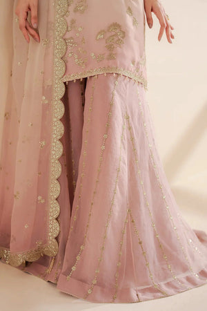 EMBROIDERED CHIFFON UC - 3067 - NEW NAMAL PRET