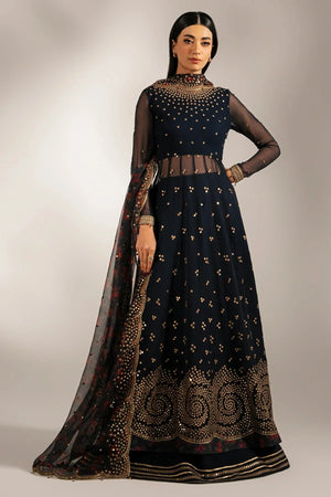 EMBROIDERED CHIFFON UC - 3073 - NEW NAMAL PRET