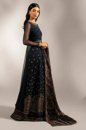 EMBROIDERED CHIFFON UC - 3073 - NEW NAMAL PRET