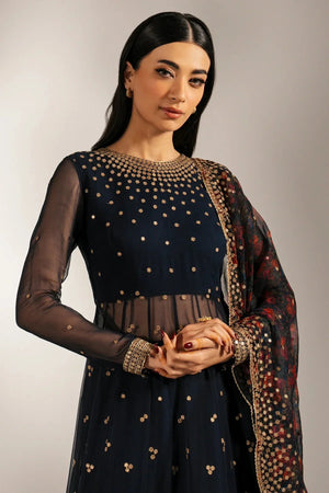 EMBROIDERED CHIFFON UC - 3073 - NEW NAMAL PRET