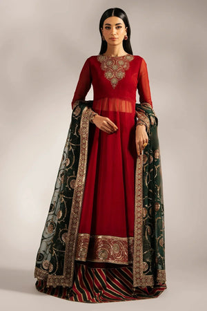 EMBROIDERED CHIFFON UC - 3074 - NEW NAMAL PRET