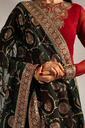 EMBROIDERED CHIFFON UC - 3074 - NEW NAMAL PRET