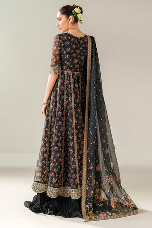 EMBROIDERED CHIFFON UC - 3091 - Namal Pret