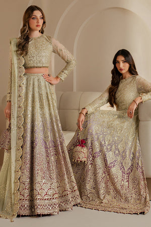 EMBROIDERED CHIFFON WF'25 - 01 - NEW NAMAL PRET