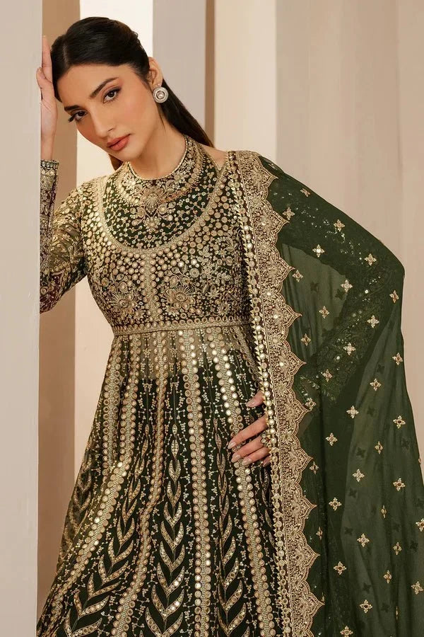 EMBROIDERED CHIFFON WF'25 - 02 - NEW NAMAL PRET