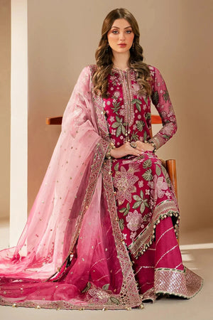 EMBROIDERED CHIFFON WF'25 - 03 - NEW NAMAL PRET