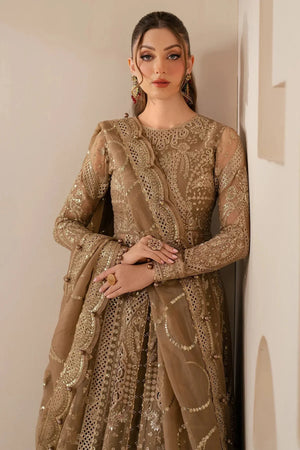 EMBROIDERED CHIFFON WF'25 - 04 - NEW NAMAL PRET