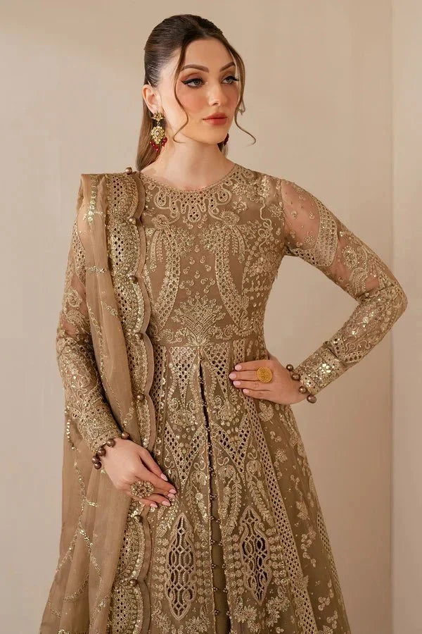 EMBROIDERED CHIFFON WF'25 - 04 - NEW NAMAL PRET