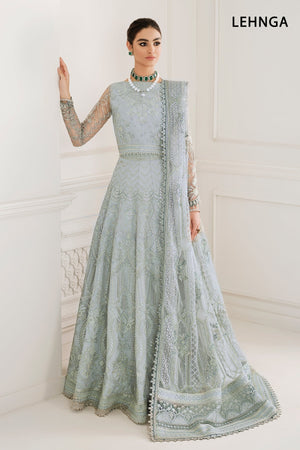 EMBROIDERED NET CH10 - 05 - NEW NAMAL PRET
